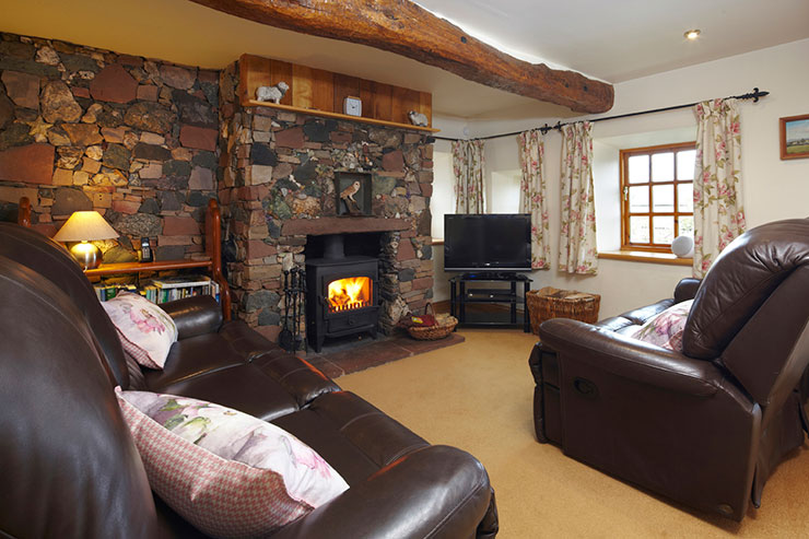 Cosy Living Room with Wood Burning Stove